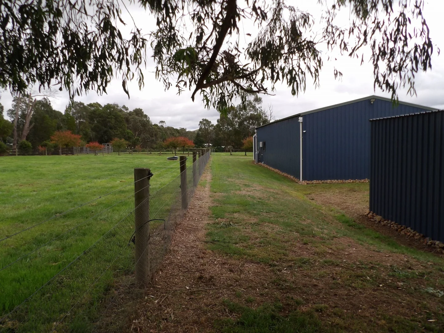 Additional image 17 of 53 Burns Road, Glenburn VIC 3717