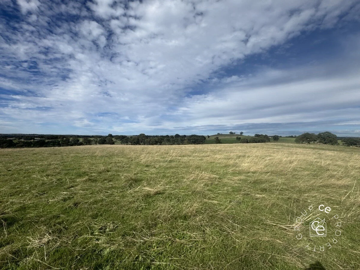Additional image 4 of 179 Shearers Road, Eden Valley SA 5235