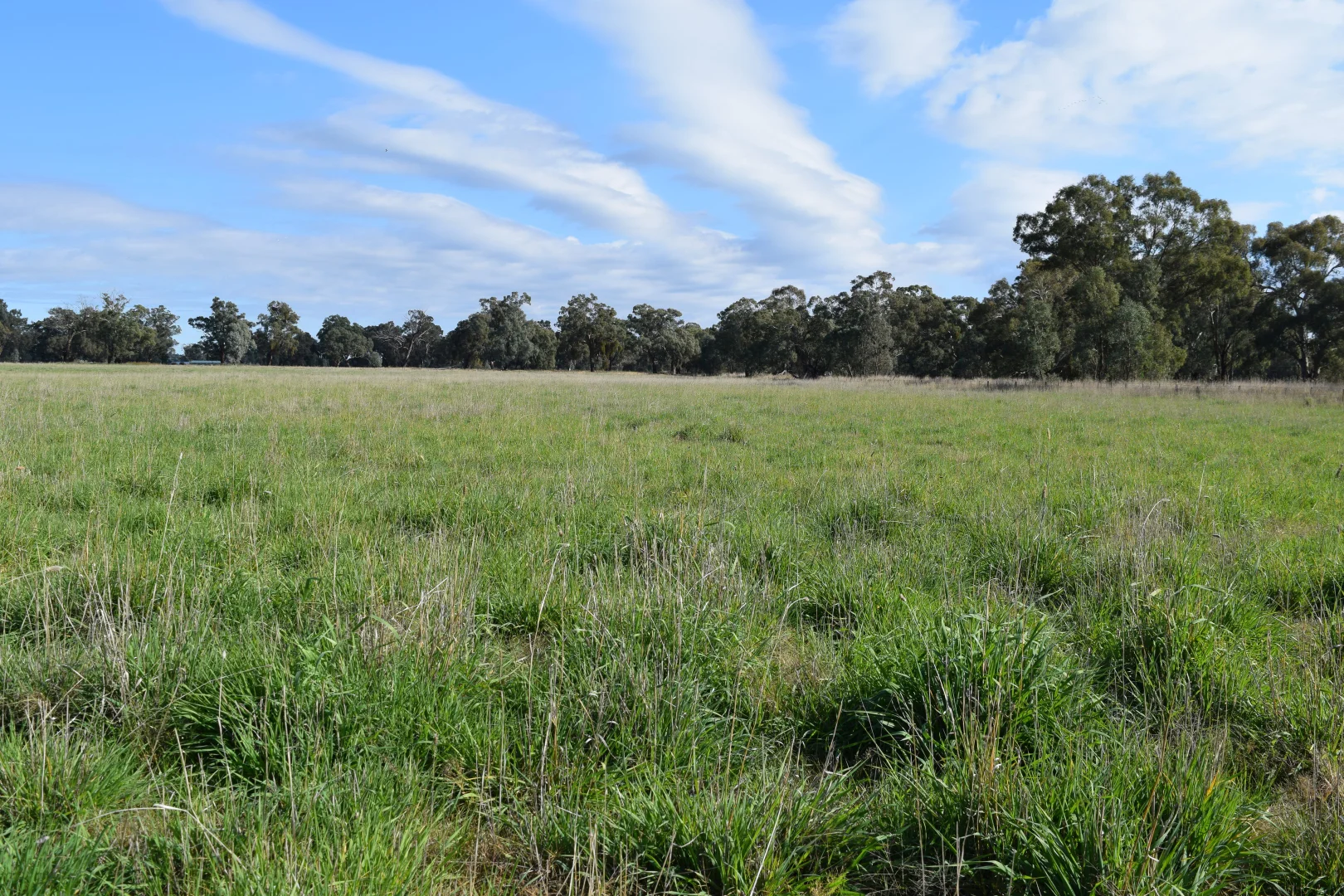 Additional image 2 of lot 5/3905 Riverina Highway, Bungowannah NSW 2640