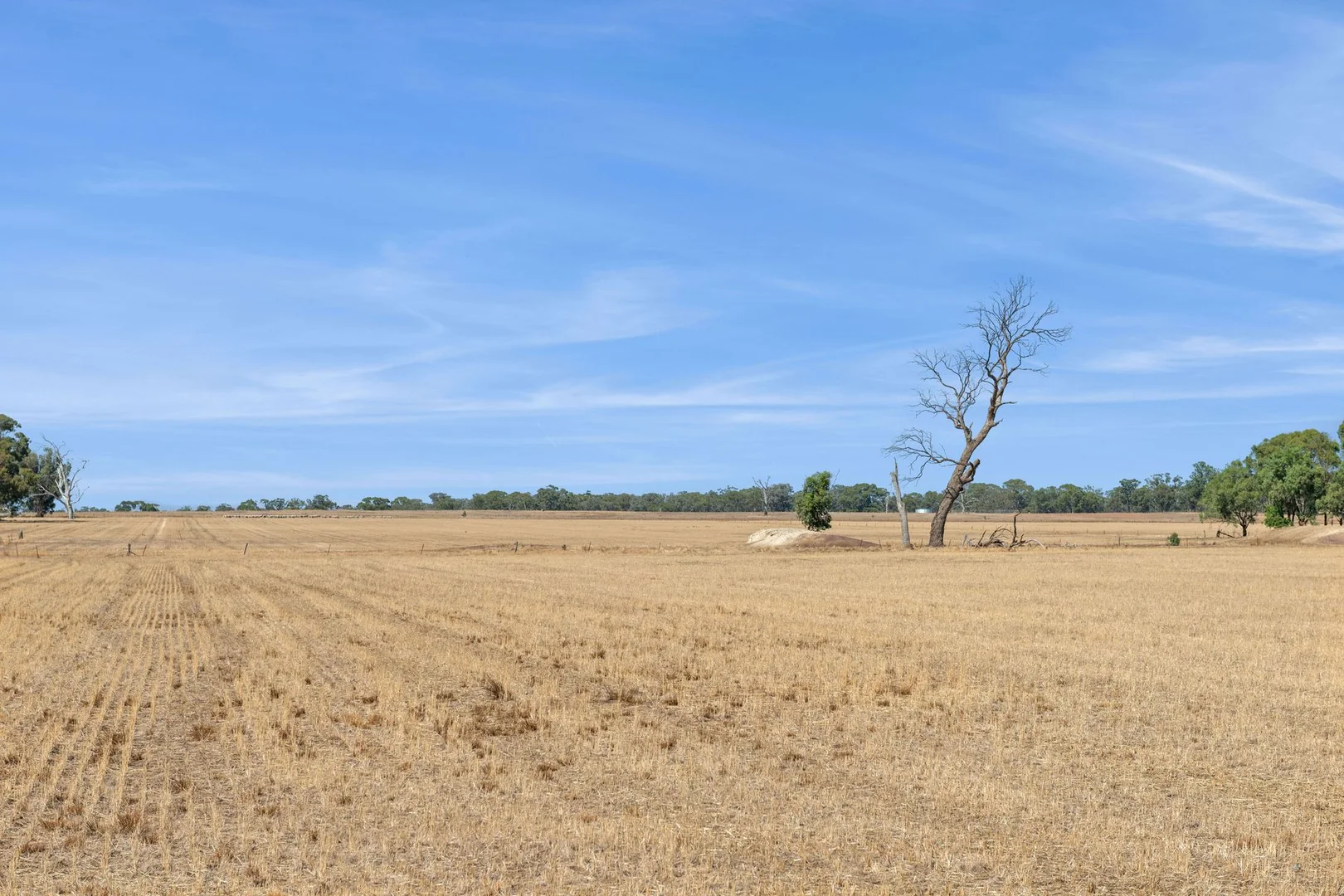 Additional image 7 of Lots 2-3 Whatleys Road, Goornong VIC 3557
