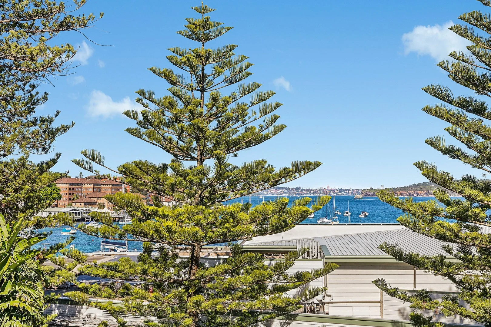 3/43 East Esplanade, Manly NSW 2095