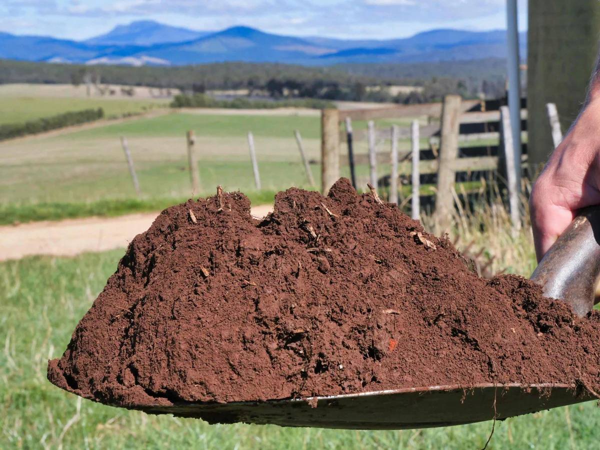 Additional image 8 of 985 Ferny Hill Road, Bridport TAS 7262
