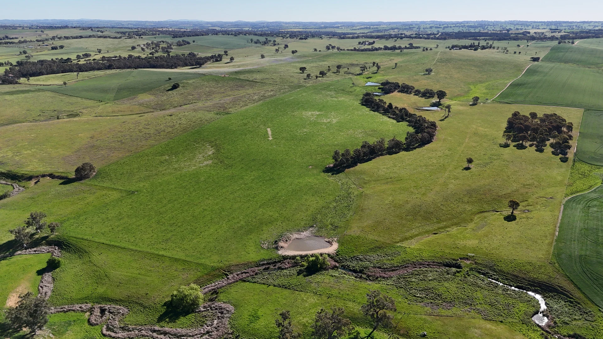 Additional image 4 of 510 Kingsvale Road, Young NSW 2594