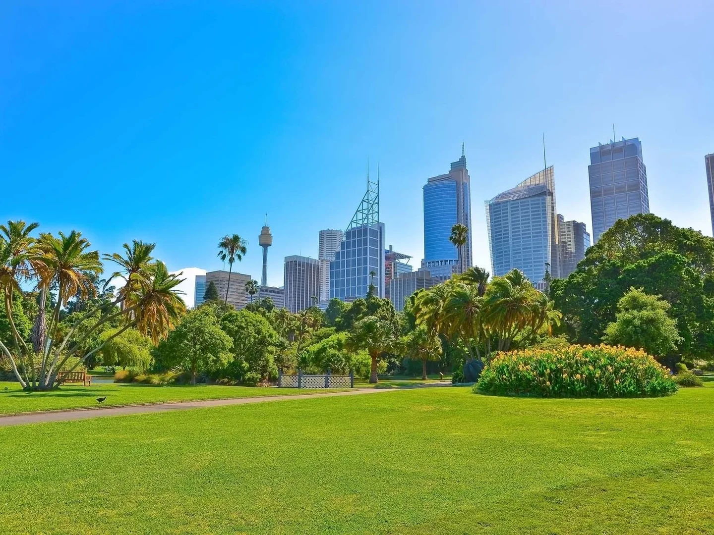 Additional image 10 of 185 Macquarie Street, Sydney NSW 2000