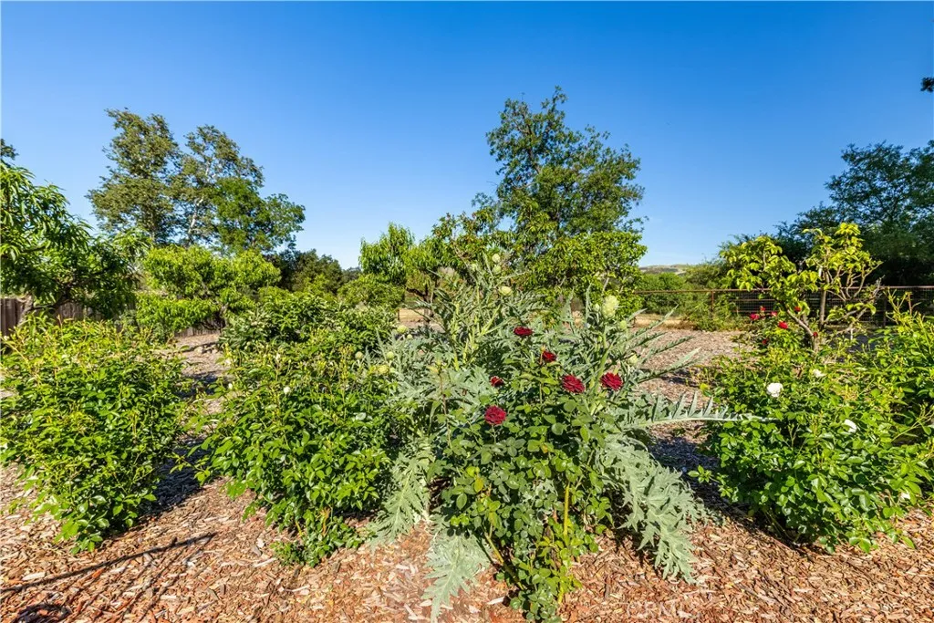 Additional image 124 of 4805 Sycamore Rd, Atascadero, CA 93422