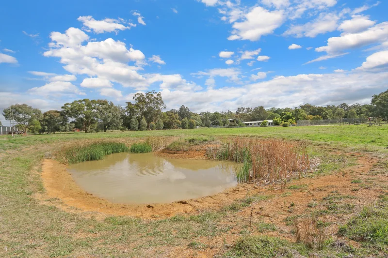 Additional image 31 of 16 Lex Lane, Thurgoona NSW 2640