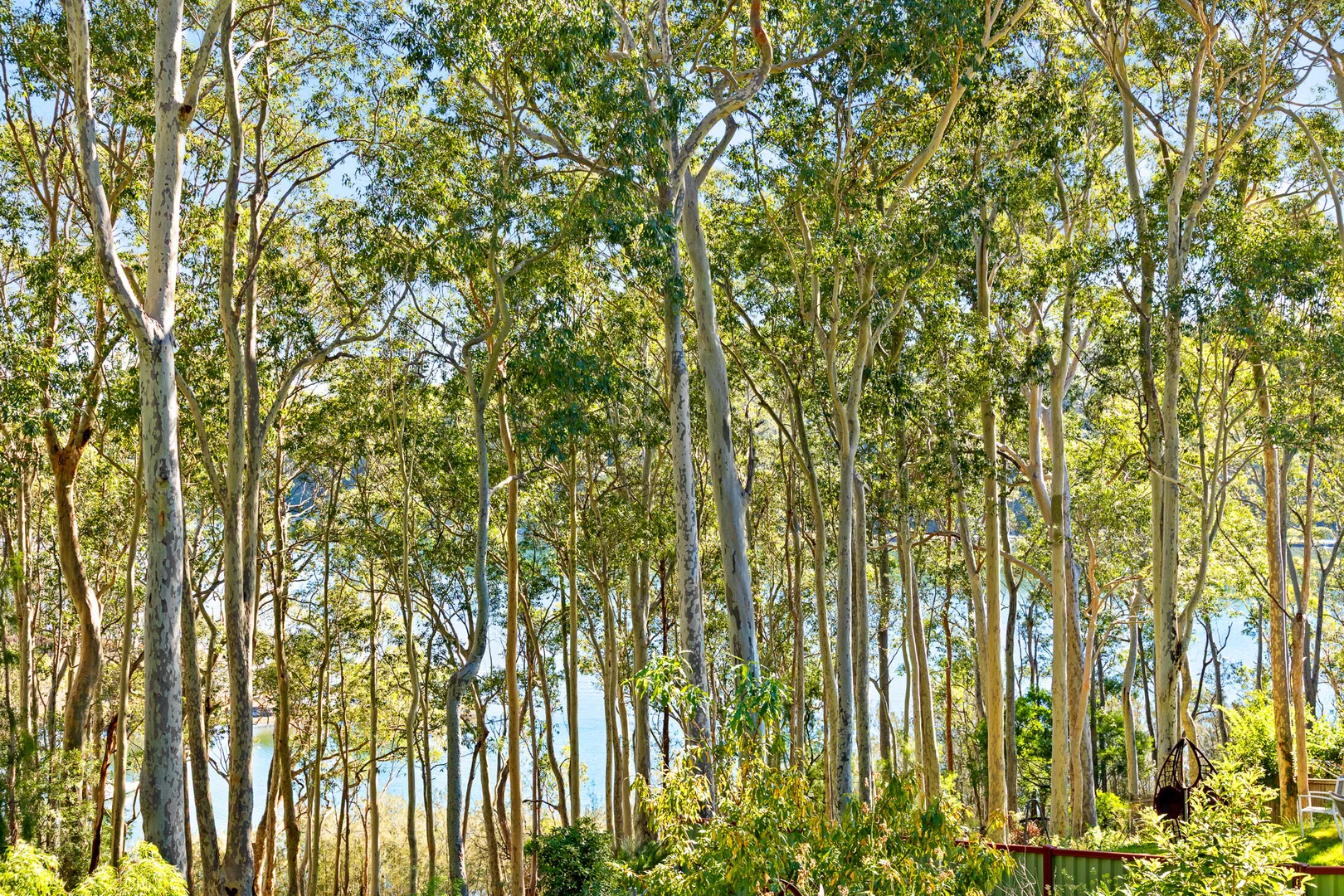 Additional image 25 of 90 The Anchorage, Moruya Heads NSW 2537