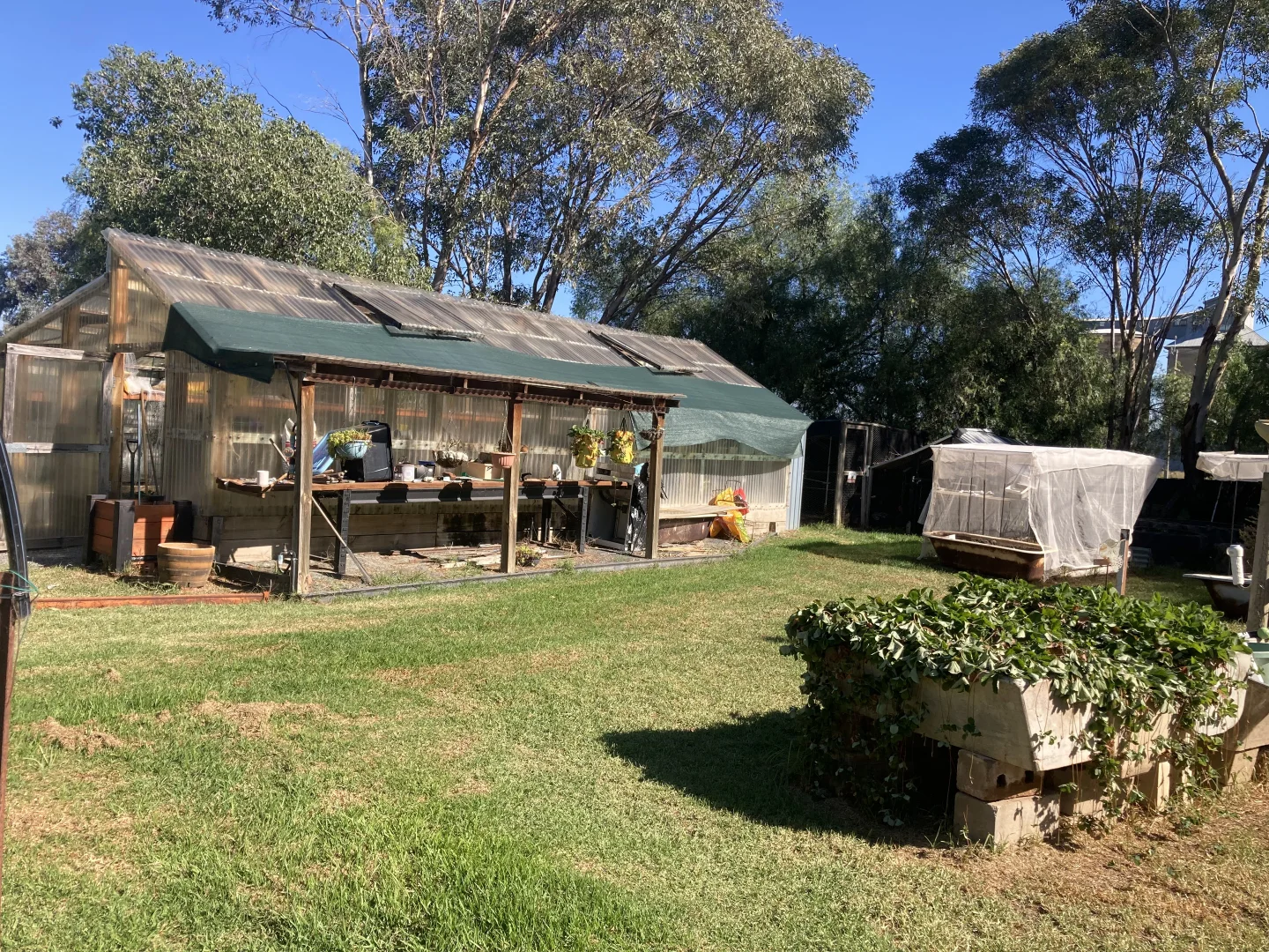 Additional image 15 of 2462 Goldfields Way, Reefton NSW 2666