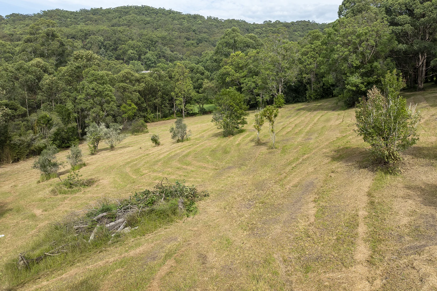Additional image 4 of 34 Zoriana Close, Mardi NSW 2259