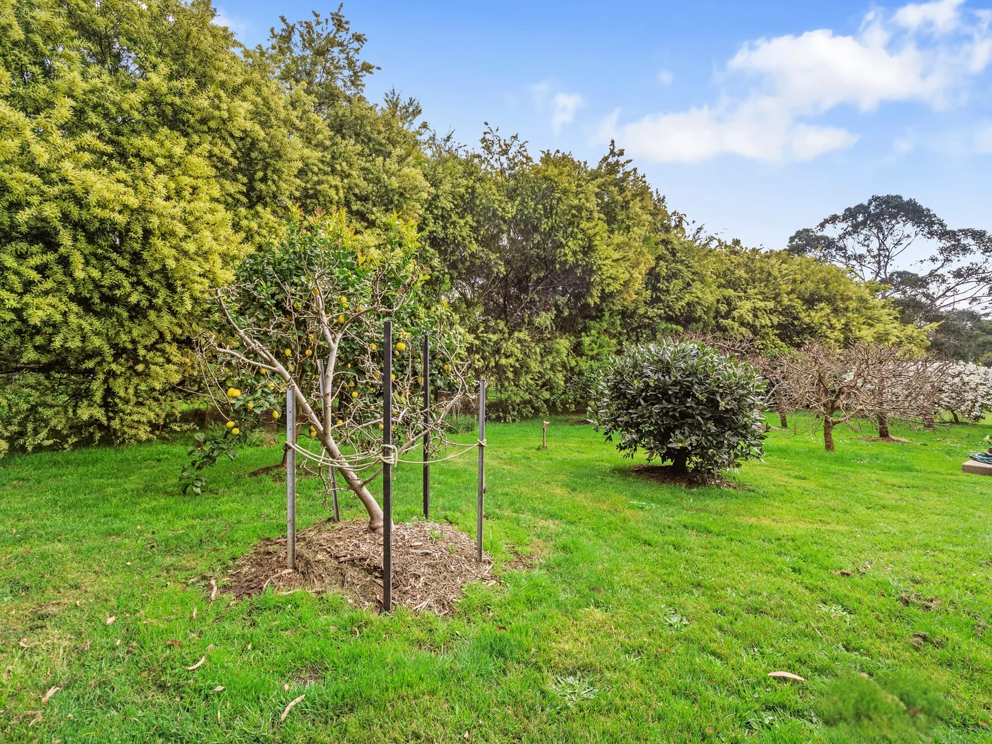 Additional image 18 of 48 Bambrook Road, Inverloch VIC 3996