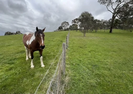 Additional image 11 of 5 Bakers Road, Kilmore East VIC 3764
