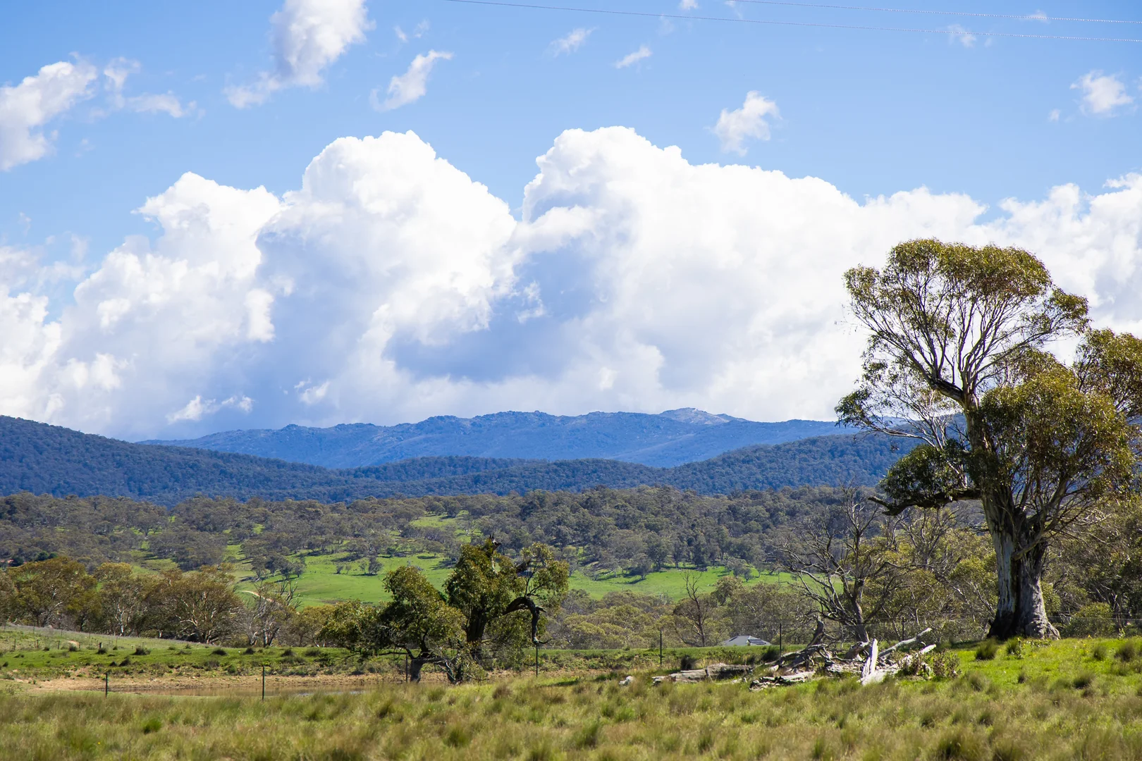 Additional image 2 of 9 Mountain View Road, Moonbah NSW 2627
