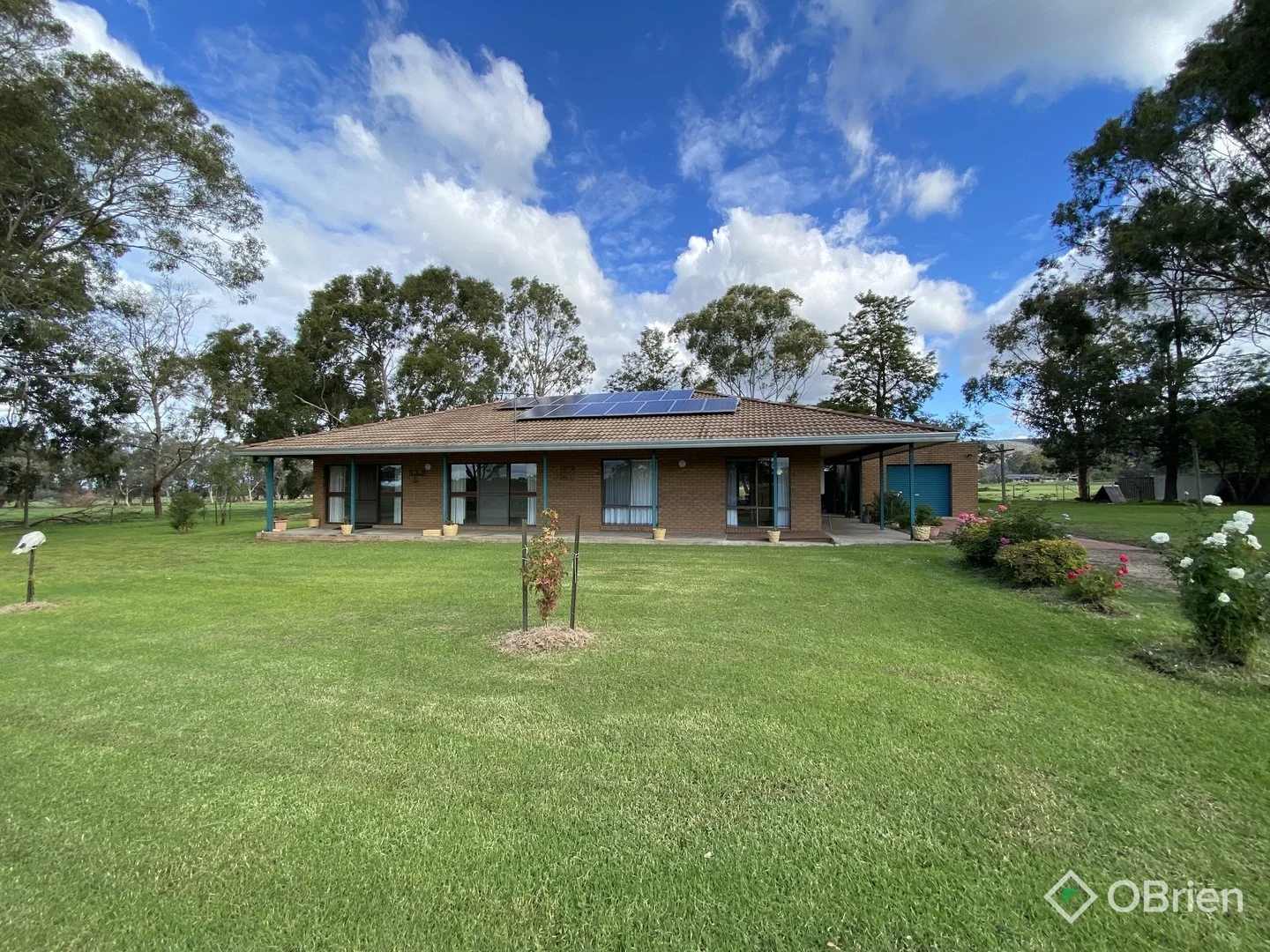 81 Wilson Road, Wangandary VIC 3678