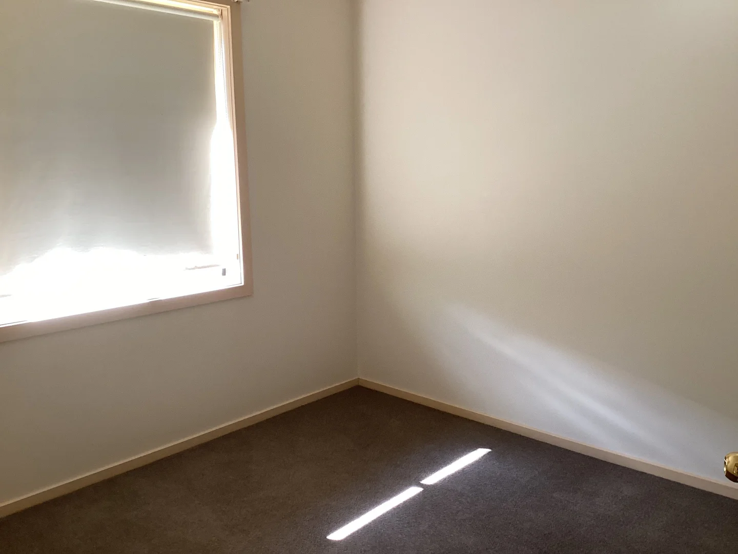 Additional image 6 of 1/9 Bundoora Avenue, Jerilderie NSW 2716