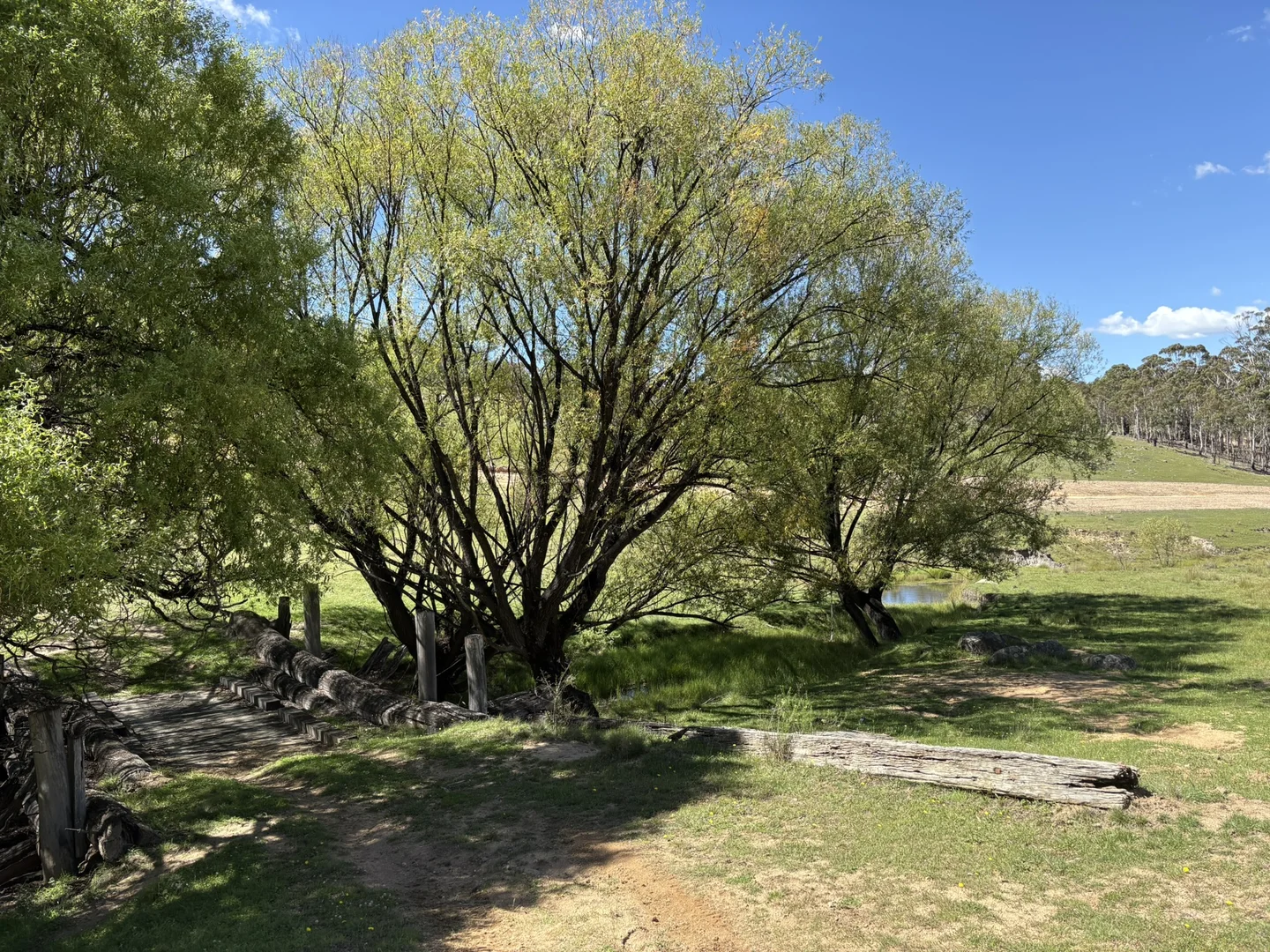 Additional image 4 of 29, 175 Tumbledown Road, Peak View NSW 2630