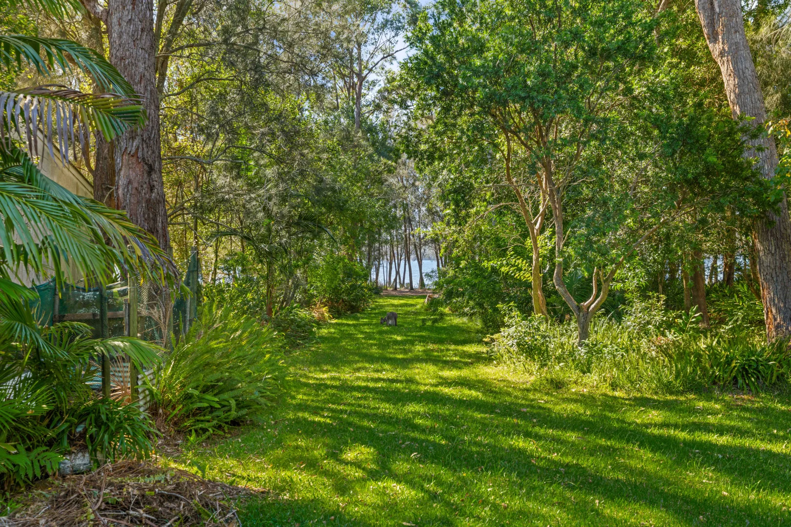 232 Sanctuary Point Road, Sanctuary Point NSW 2540 photo 4