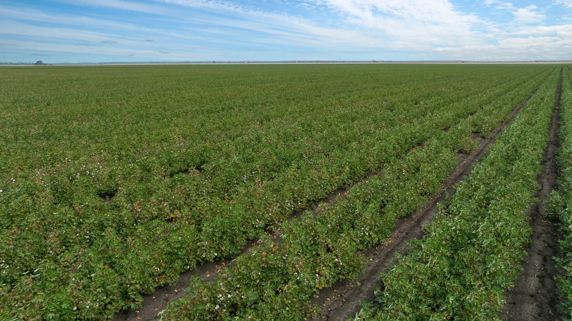 Additional image 11 of "Glengarry" 1947 Pampas - Horrane Road, Condamine Plains QLD 4352