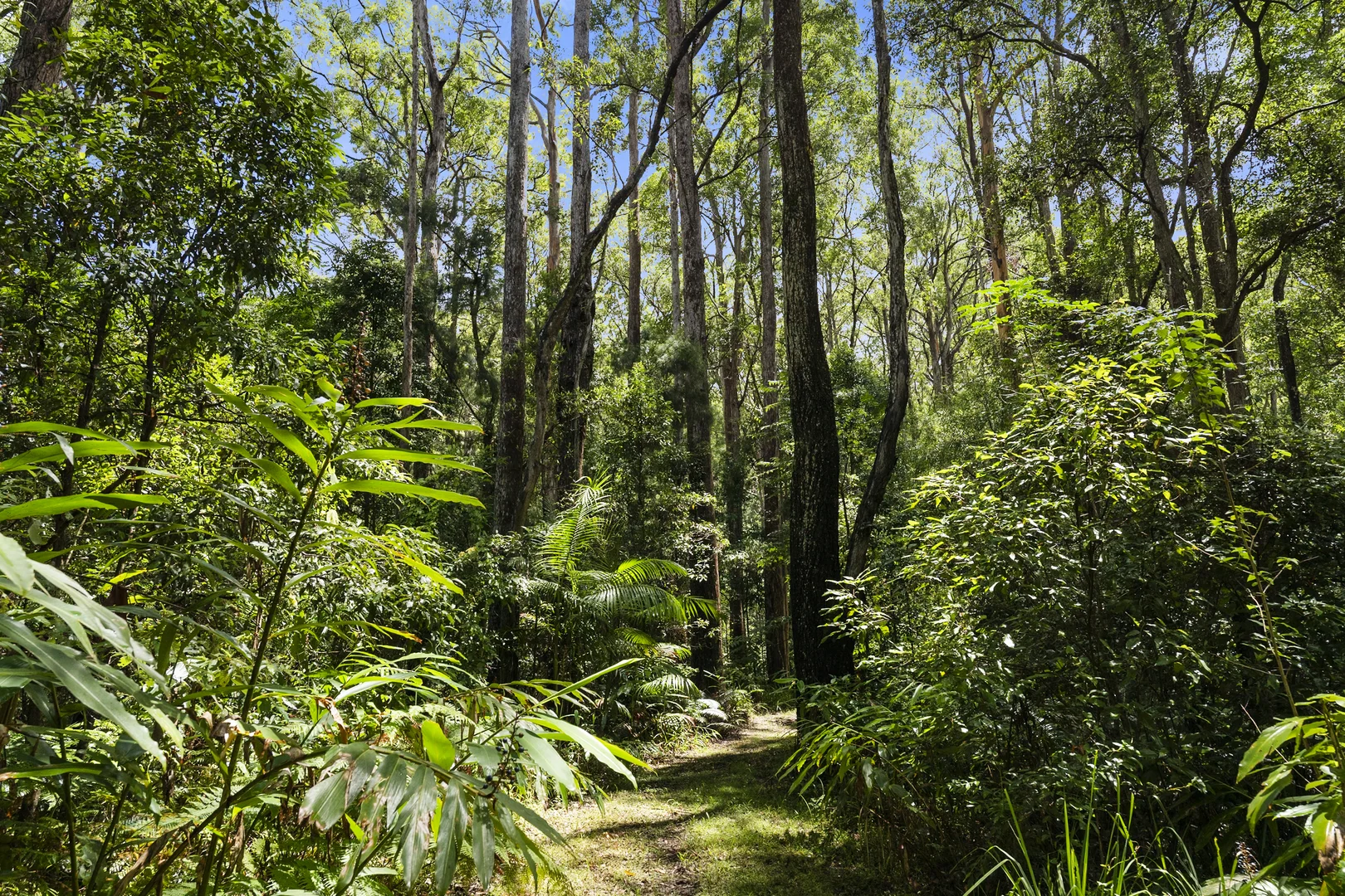 Additional image 10 of 1000 Urliup Road, Urliup NSW 2484