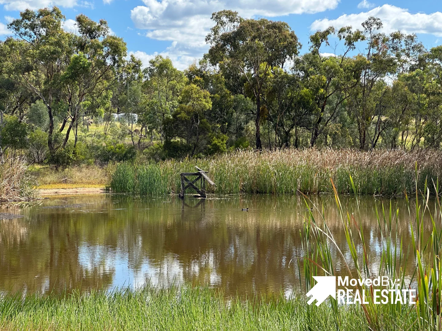 Additional image 18 of 232 TOWNSEND ROAD, Glen Aplin QLD 4381