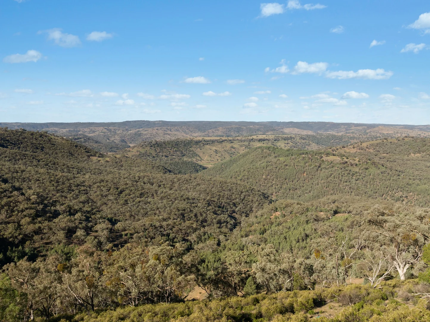 Additional image 14 of 1018 Mount Aquila Road, Stuart Town NSW 2820