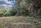 Additional image 24 of Constitution Hill, Ipswich, Suffolk, IP1