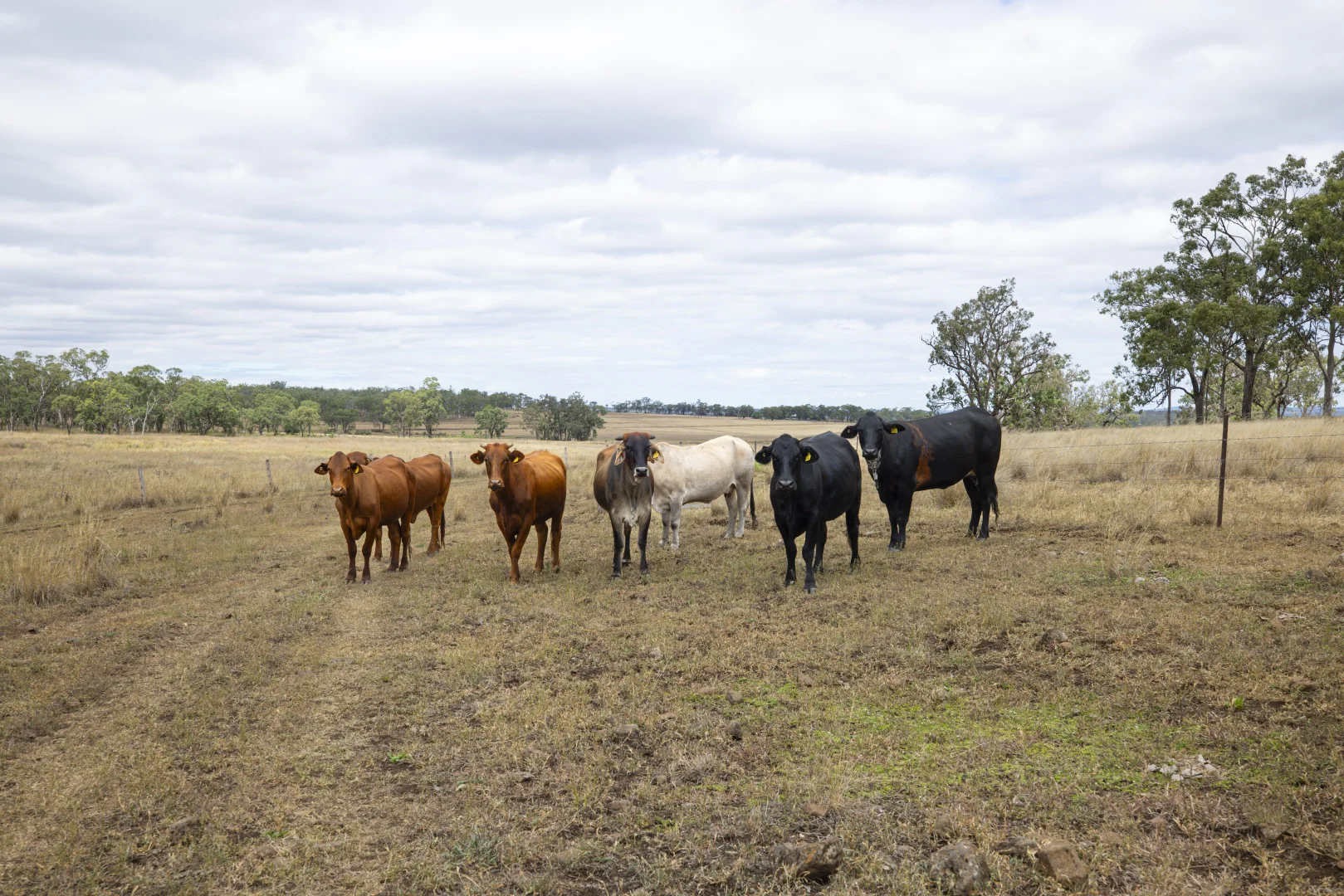 Additional image 18 of 24 Naumann Road, Back Plains QLD 4361