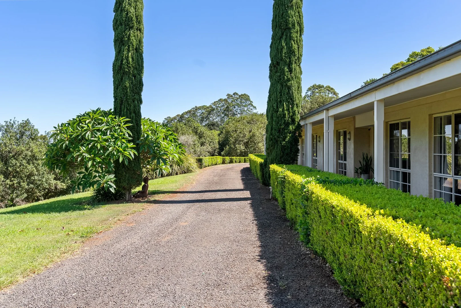 Additional image 4 of 43 Lychee Drive, Rosebank NSW 2480