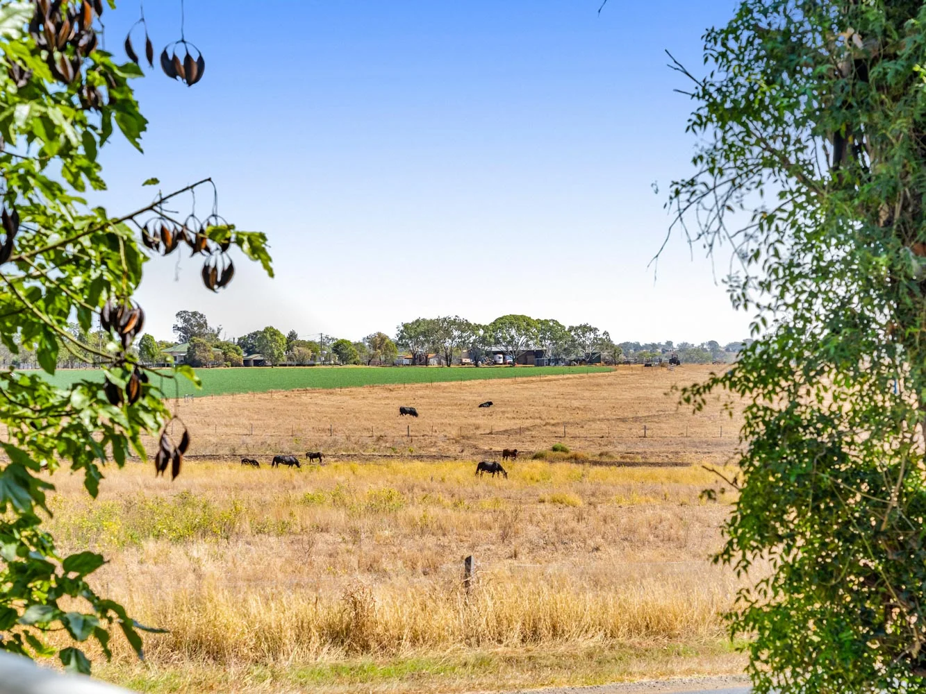 Additional image 7 of 1123 Oakey Biddeston Road, Biddeston QLD 4401