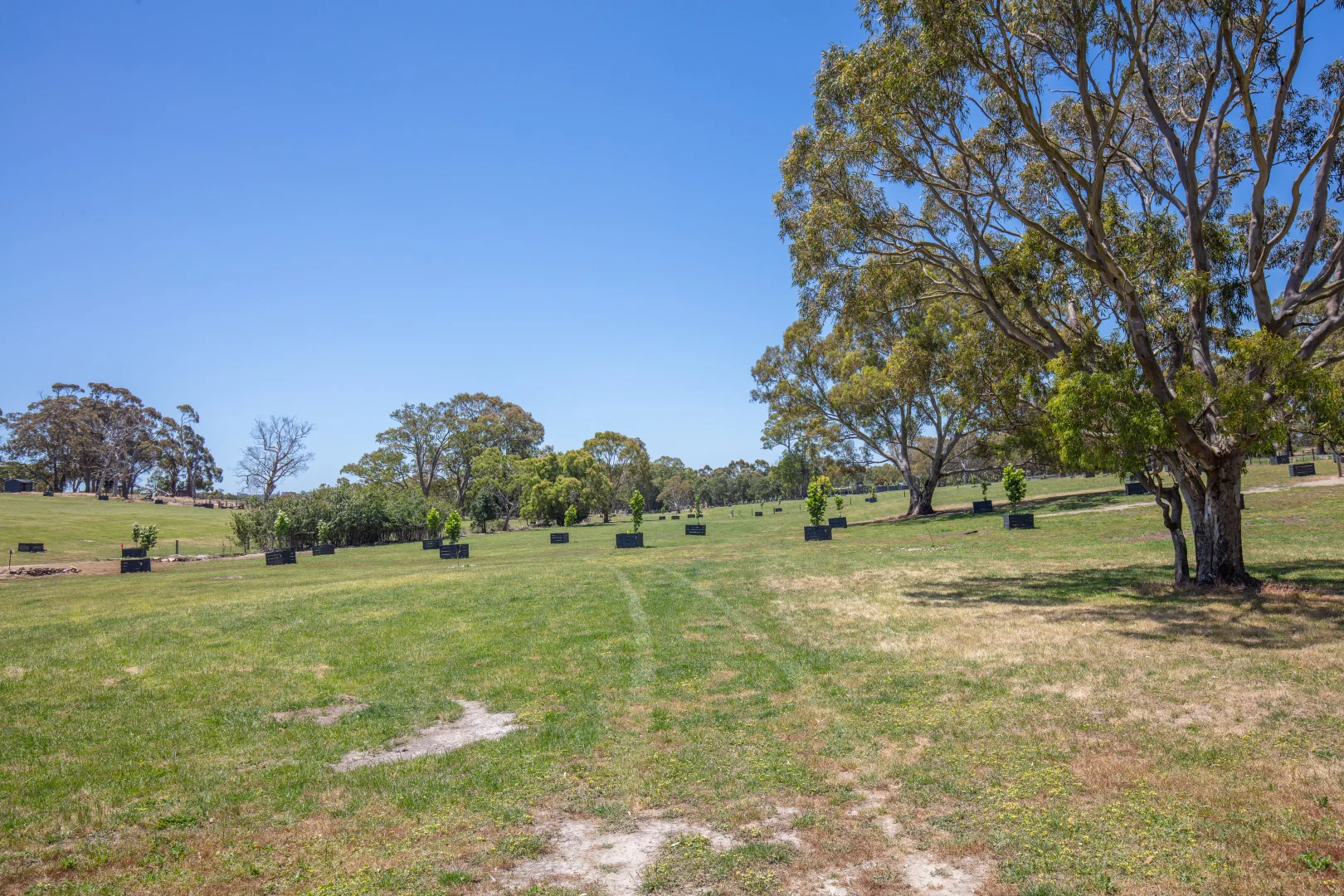 Additional image 9 of 764 (Lot 105) Flaxley Road, Flaxley SA 5153