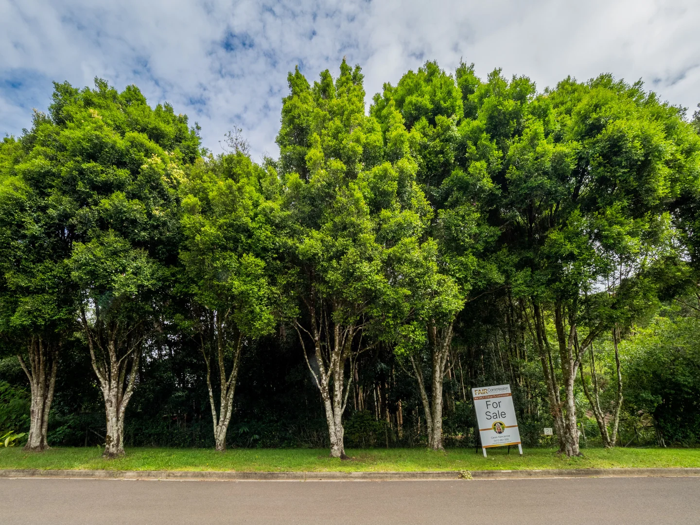 Additional image 13 of 21 Carrington Drive, Flaxton QLD 4560