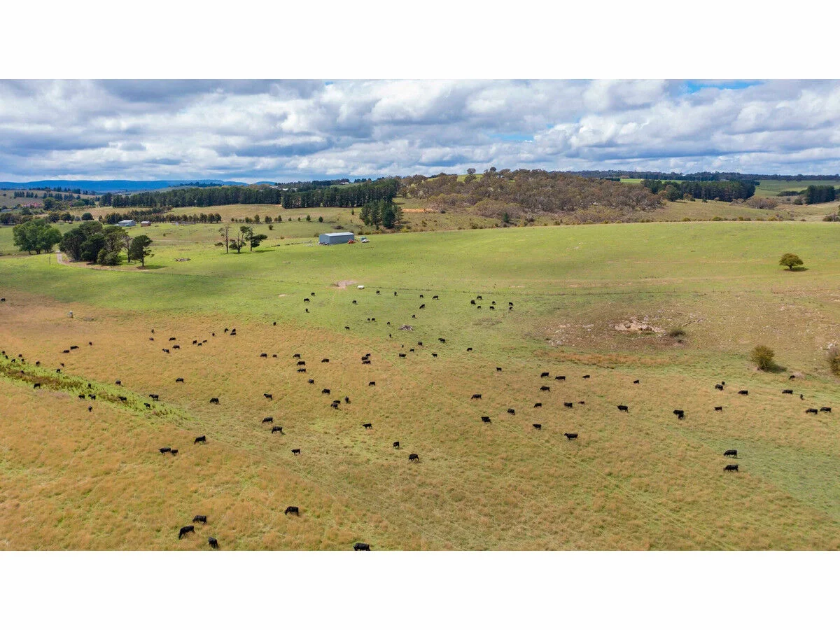Additional image 8 of 255 Gurrundah Road, Goulburn NSW 2580