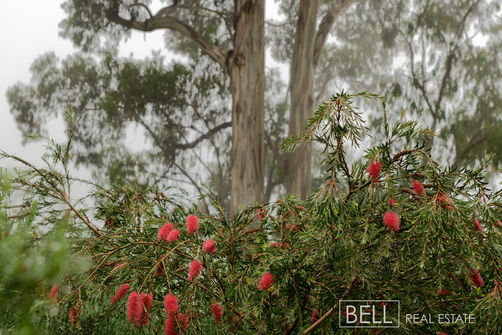 Additional image 25 of 24 Barbers Road, Kalorama VIC 3766