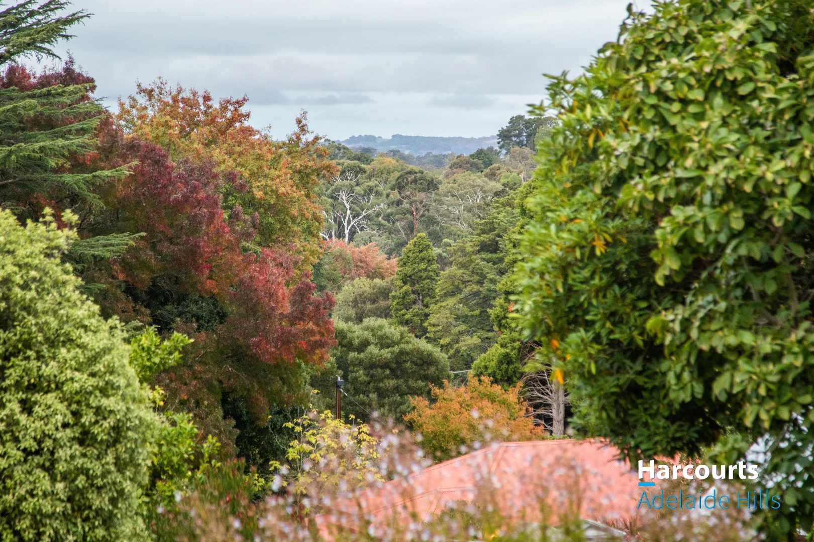 Additional image 28 of 76 Wilpena Terrace, Aldgate SA 5154