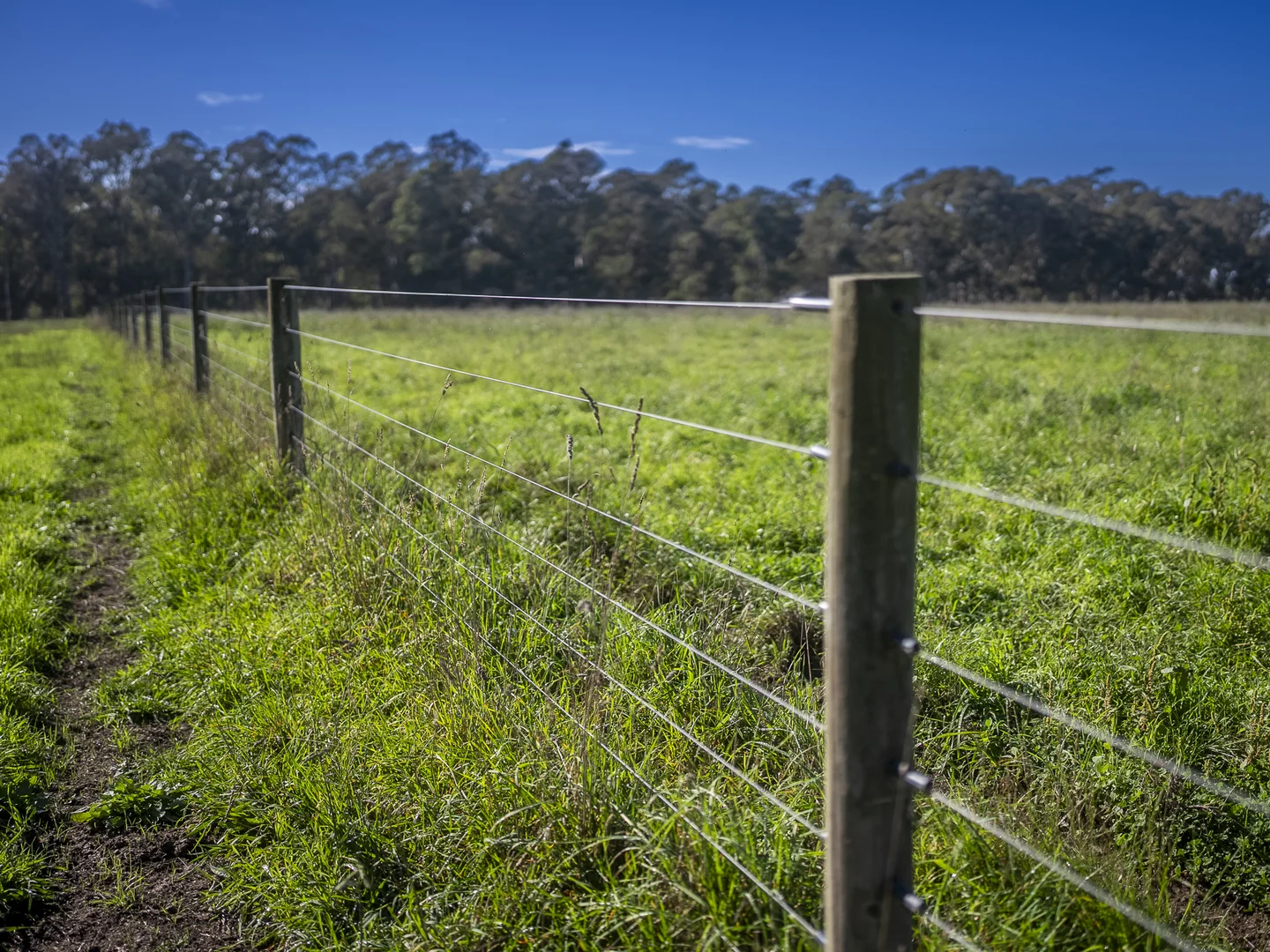 Additional image 24 of 103 Kellys Road, Longford VIC 3851