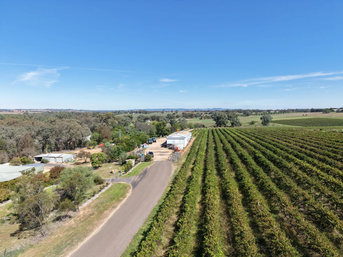 Additional image 3 of Lot 7 Chardonnay Lane, Cowra NSW 2794