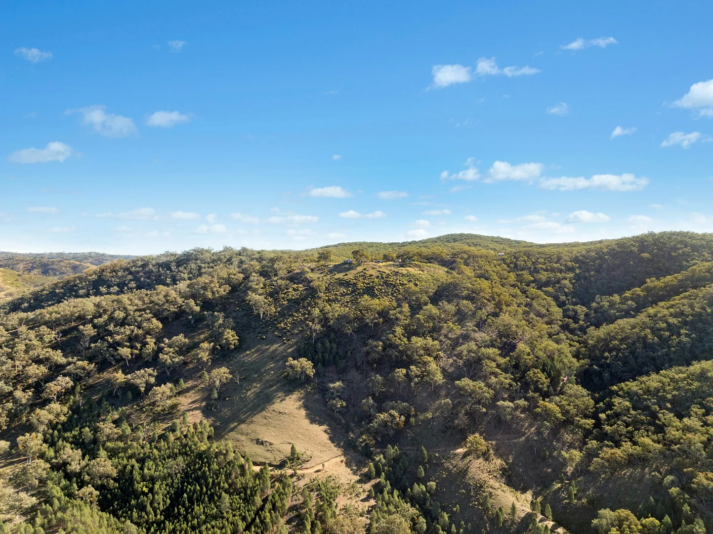 Additional image 8 of 1018 Mount Aquila Road, Stuart Town NSW 2820