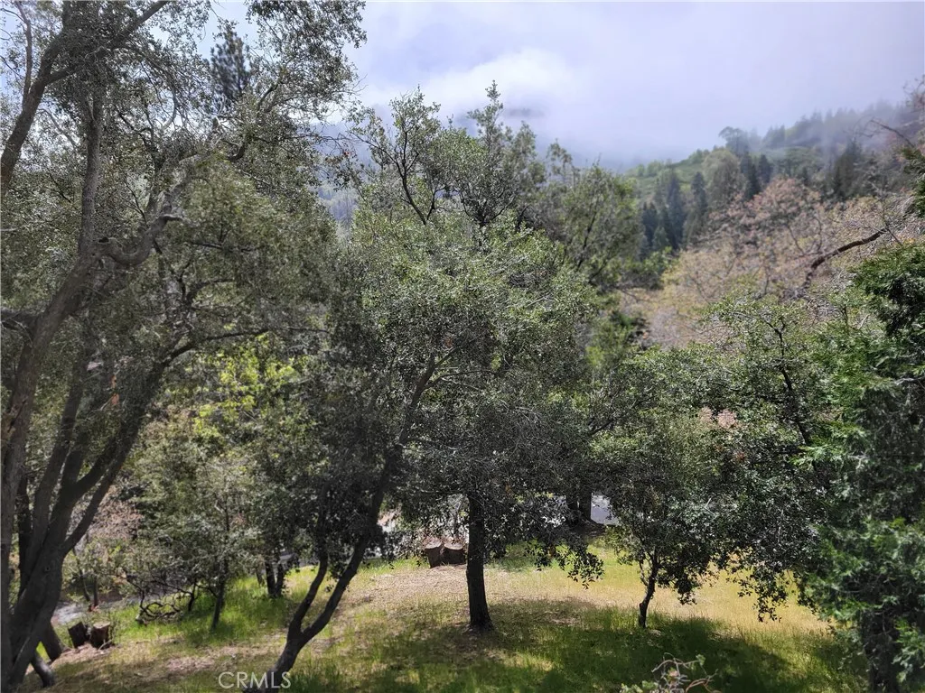 Additional image 48 of 177 Craghill Dr, Cedar Glen, CA 92321