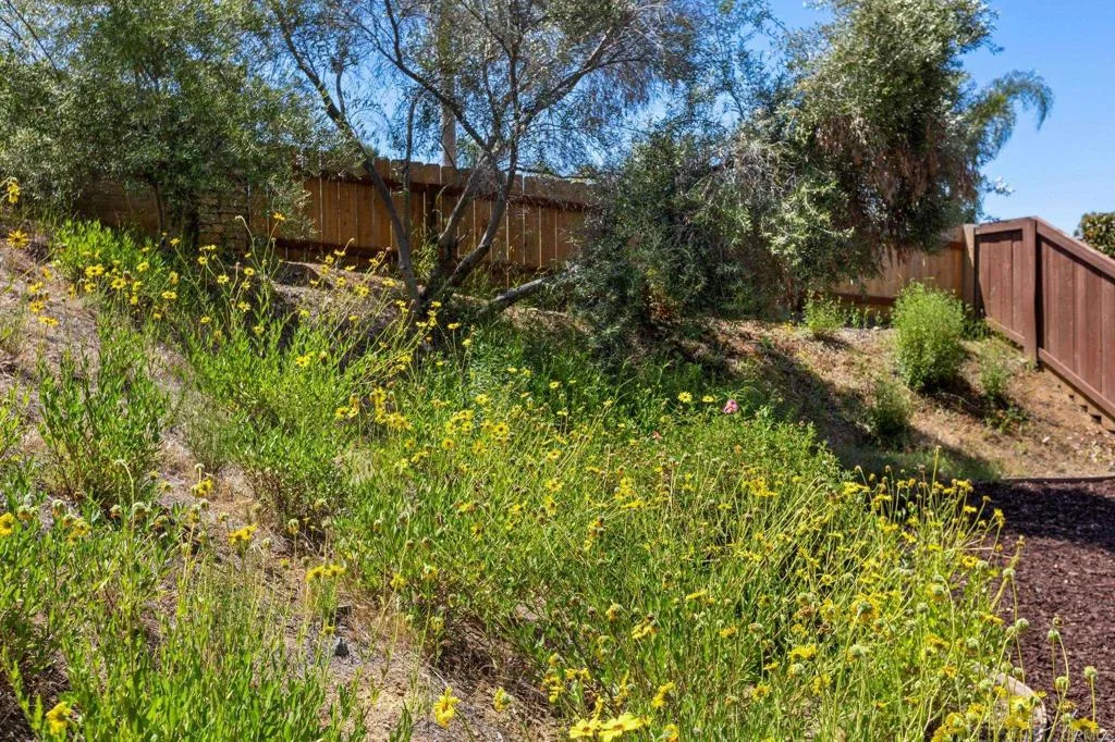 Additional image 70 of 2292 Marquand, Alpine, CA 91901