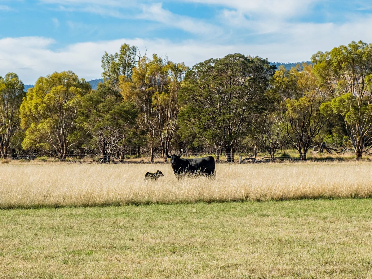 Additional image 31 of 383 Prossers Road, Richmond TAS 7025