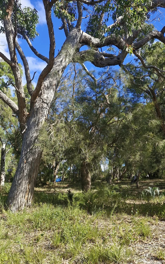 Additional image 8 of 14 Burton Close, Walpole WA 6398