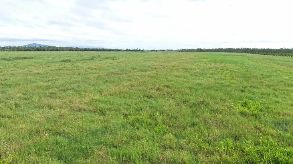 Additional image 13 of Giru QLD 4809