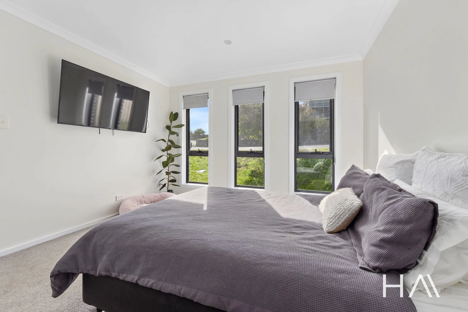 Additional image 6 of 12 Celery Top Dr, St Leonards TAS 7250