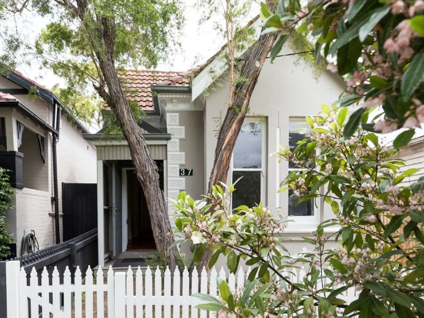 Additional image 5 of 37 Pigott Street, Dulwich Hill NSW 2203