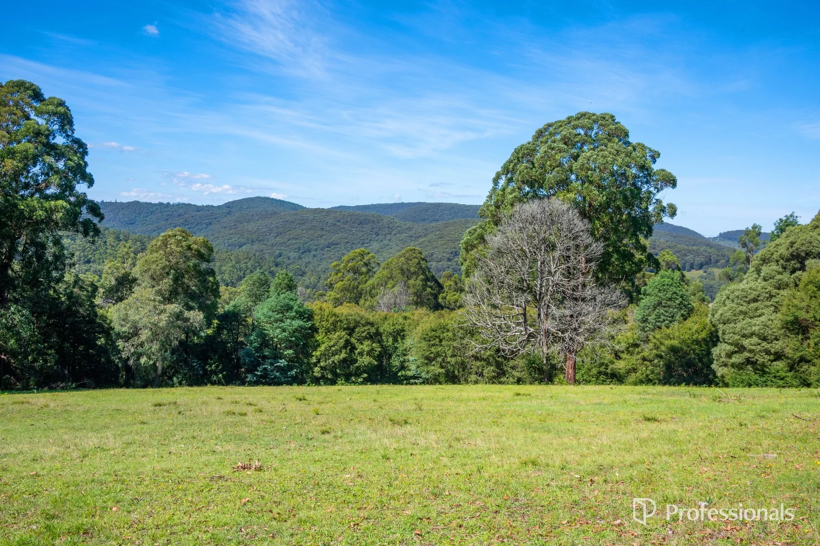 Additional image 3 of 620 Thonemans Road, Hoddles Creek VIC 3139