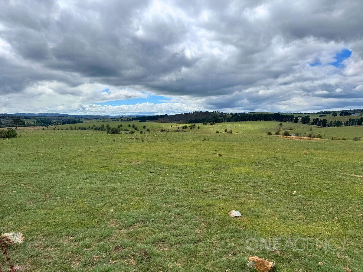 Additional image 13 of 255 Gurrundah Road, Goulburn NSW 2580