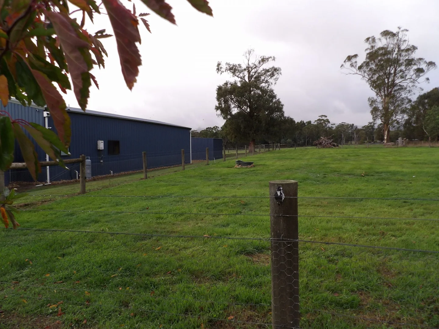 Additional image 19 of 53 Burns Road, Glenburn VIC 3717