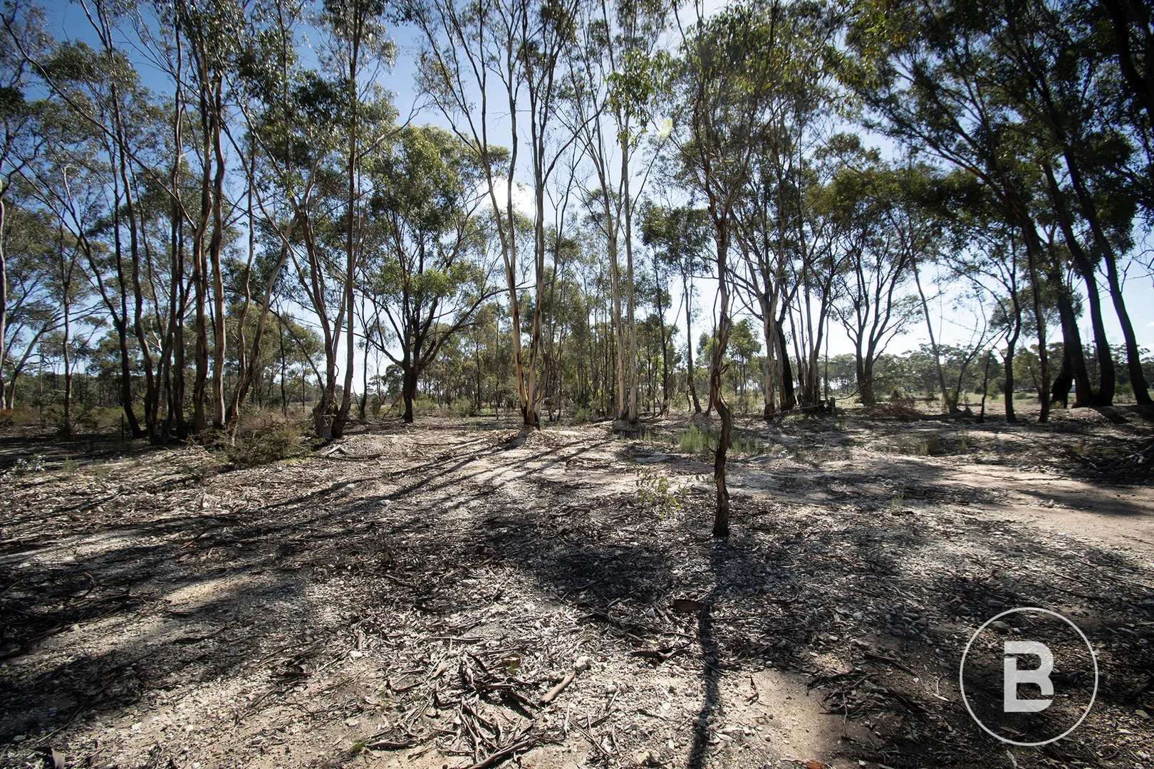 Additional image 21 of 585 Maryborough-Dunolly Road, Havelock VIC 3465