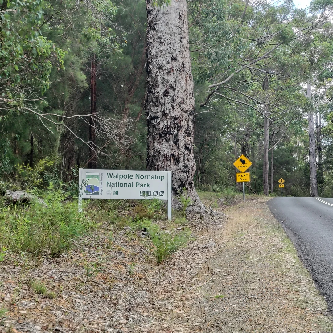 Additional image 38 of 1401, 6405 South Coast Highway, Nornalup WA 6333