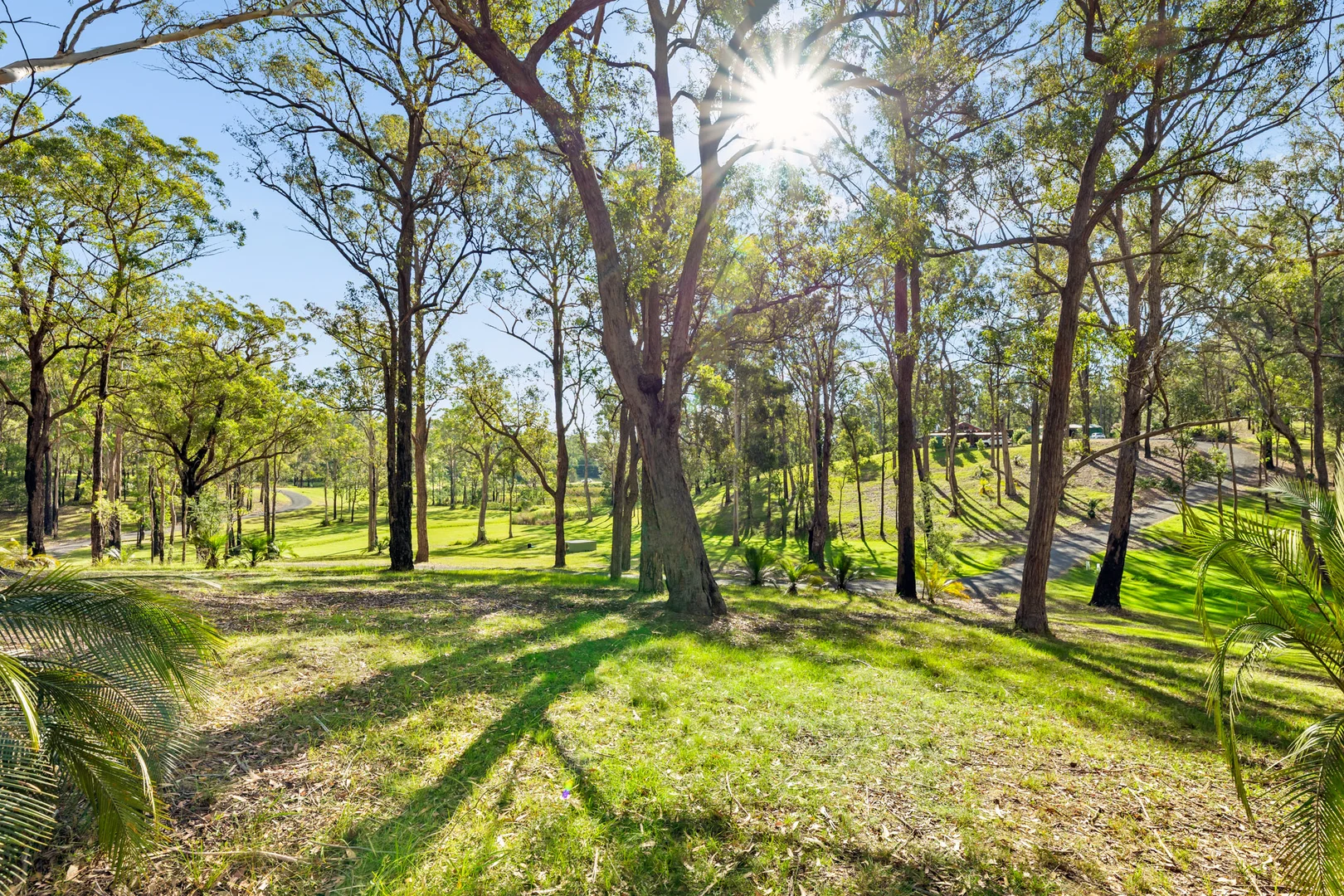 Additional image 6 of 63 Yarragee Road, Moruya NSW 2537
