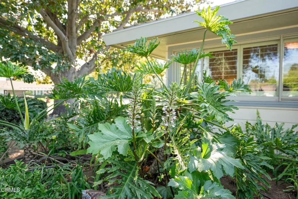 Additional image 41 of 685 Chester Avenue, San Marino, CA 91108
